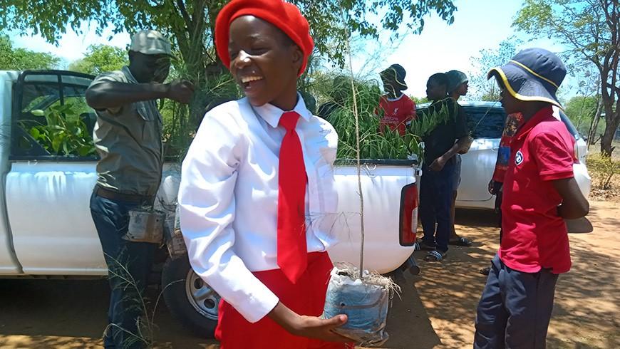 A student in school uniform carries a tree sapling in front of a pick-up with other saplings in it's bed while other students and adults gather around in the background
